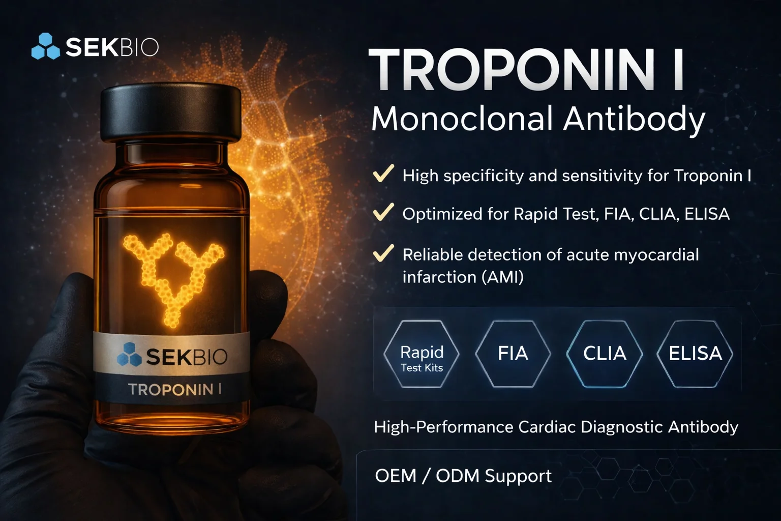 Troponin I (cTnI) Monoclonal Antibody
